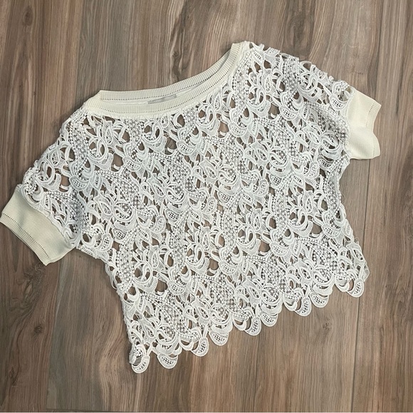 Like New gorgeous Zara crochet top - Picture 1 of 3